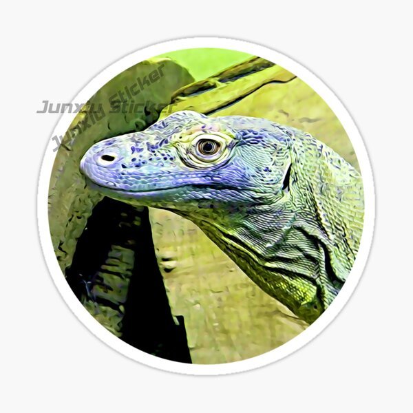 Komodo National Park Komodo Is - огляд і ціна Car Accessories Bali