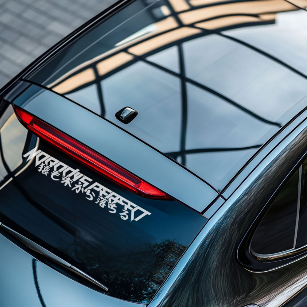 Nobody's perfect Car Windshiel - огляд і ціна Car Accessories Banner
